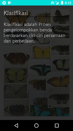 Butterfly Classification - Lea Screen 2