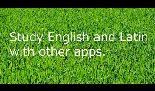 Android application Toast Latin study(Latin 6,618 screenshort