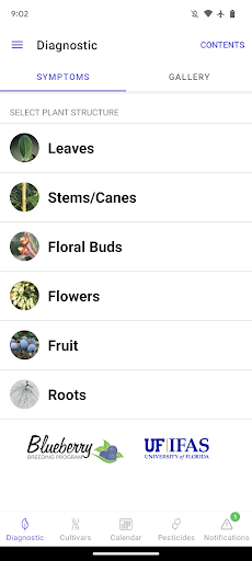 UF Blueberry Growers Guide