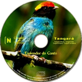 Canto do Tangará icon