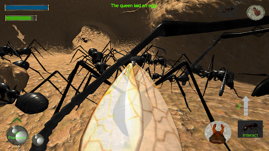 Ant Simulation 3D Full Unknown