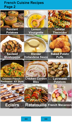120 French Cuisine Recipes Screen 2