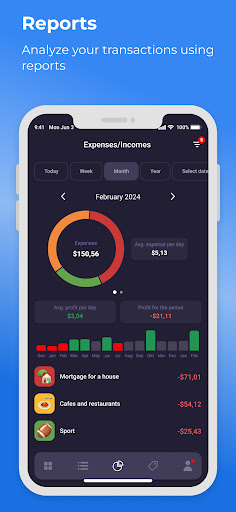 MyMoneyManager expenses income 2
