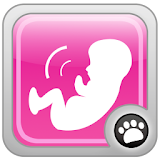Babykick Tracker-Free icon