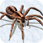 Cover Image of Descargar Ultimate Spider Simulator - RPG Game 1.0 APK