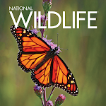 National Wildlife Magazine Apk