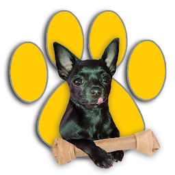 Icon image Recetas para Perros