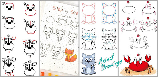 Easy Animal Drawing Lessons