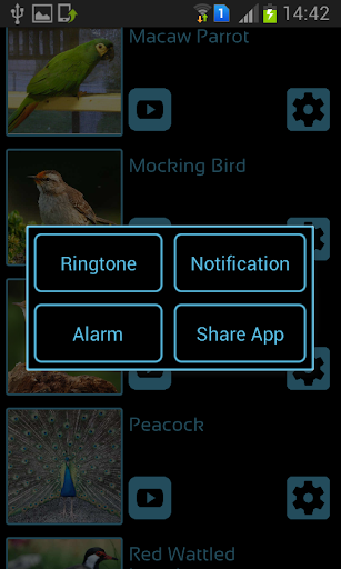 Bird Sounds & Ringtones Screen 3