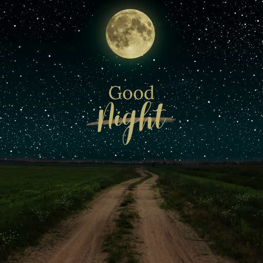 Good Night Wishes 2024 logo