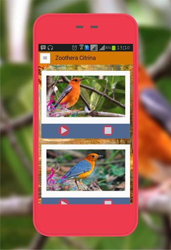Android application Zoothera Citrina screenshort