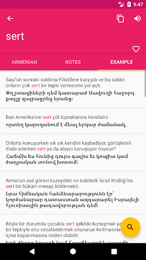 Armenian Turkish Dictionary Screen 3