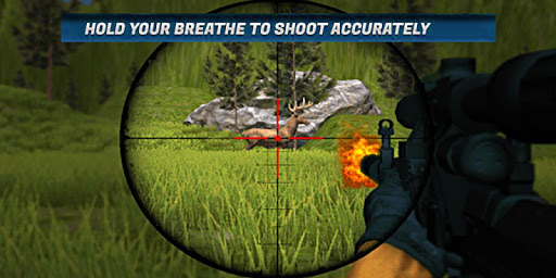 3D Jungle Hunter Action First