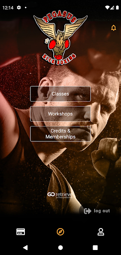 Pegasus Studio Screen 2