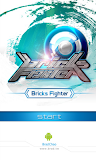 Bricks Fighter