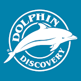 Dolphin Discovery icon