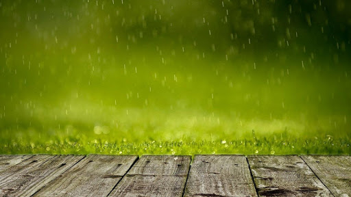Rain Wallpaper