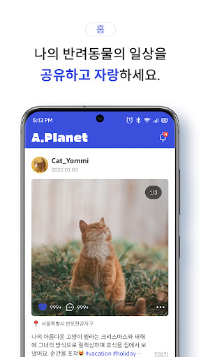 A.Planet Screen 3