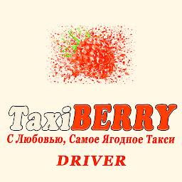 Icon image TaxiBERRY Driver
