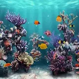Undersea Aquarium Free LWP icon