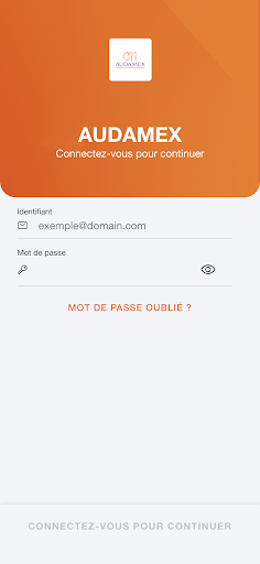 AUDAMEX Screen 2