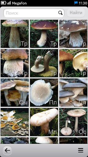 Энциклопедия грибов и ягод