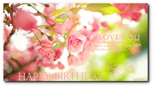 Best Birthday Wishes For Everyone - Daily Flowers UK