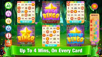 Game screenshot Bingo Arcade - VP Bingo Games hack