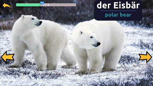 Android application Learn Animals in German screenshort