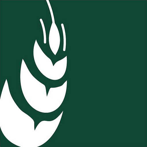 AVEPA Image logo