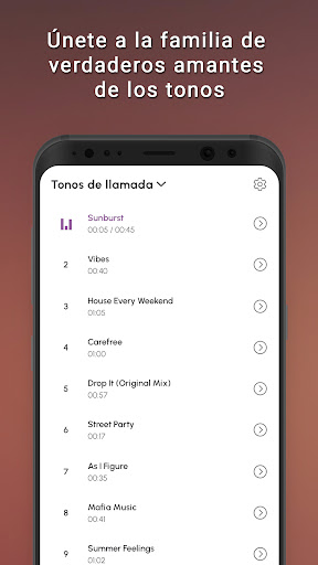 Vista previa de la aplicación