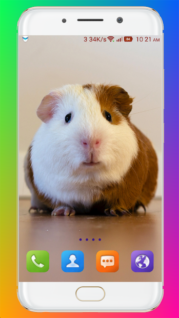 Screenshot 7 Guinea Pig Wallpaper android