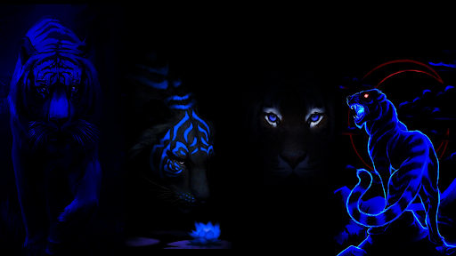 Tiger Wallpaper Aesthetic