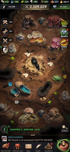 Les fourmis: Royaume souterrain