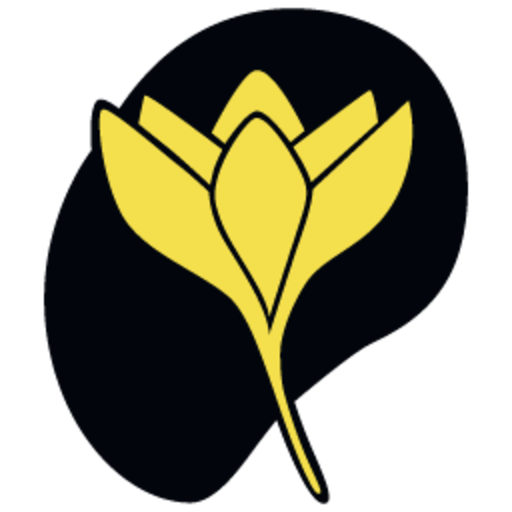 Flavuscom logo