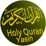 Surah Yasin & Terjemahan icon