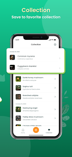 Mushroom Identifier Fungus ID screenshot 5