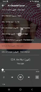 Al Ghamidi Quran MP3 Offline