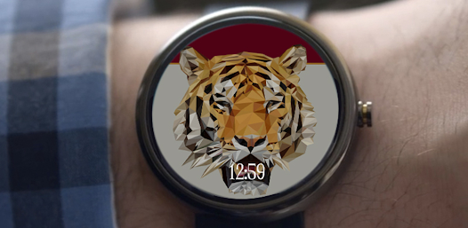 Screenshot image