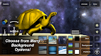 screenshot of Tortoise Mannequin