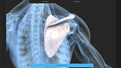 Screenshot of Visual Anatomy 3D - Human body