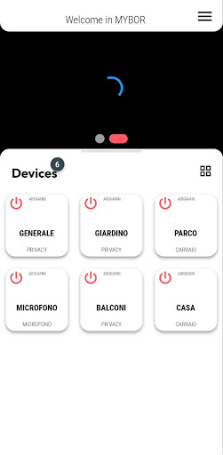 MyBOR Screen 3