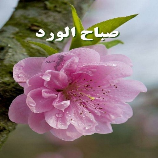 صباح الخير 2023 Screen 2