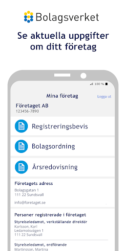 Bolagsverket – håll koll på di Screen 2