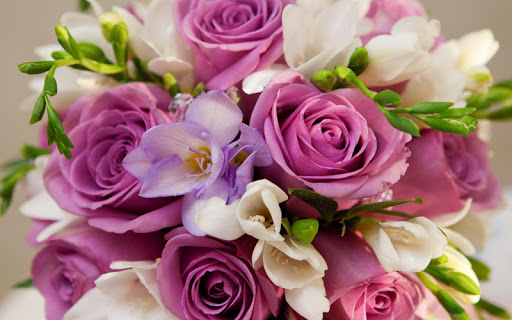 Roses Jigsaw Puzzles Screen 2