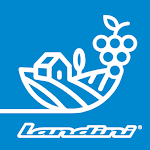 Landini Farm