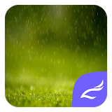 Rain Theme icon