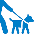 Dog Walk- Registra passegiate