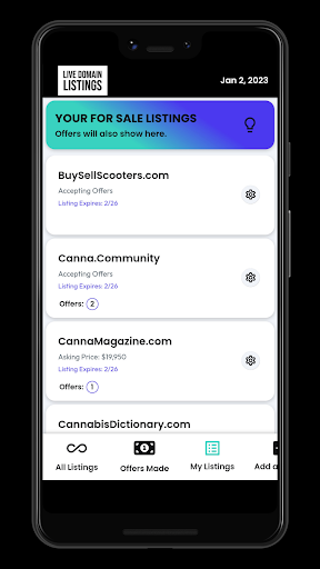 Live Domain Listings Screen 3