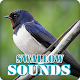 Swallow Bird Sounds Collection Download on Windows
